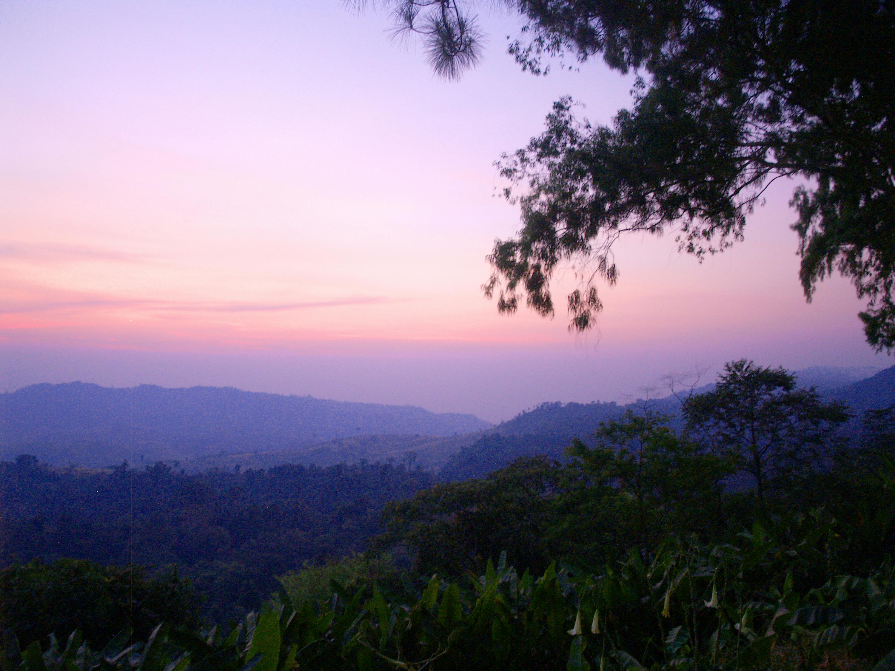 a purple toned photo of a sunset with a single tree in the foreground